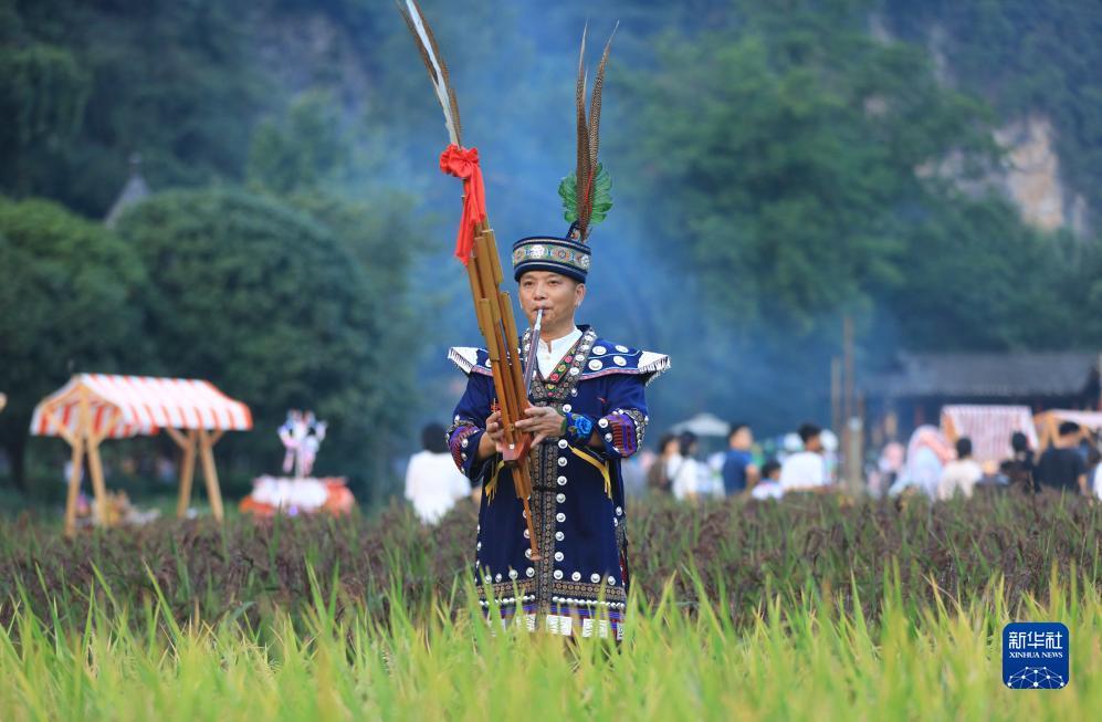 打鱼助手哪里有